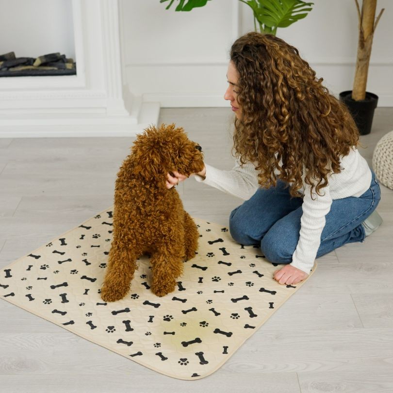 Woman kneeling on floor with dog who sits on a soiled dog potty pad