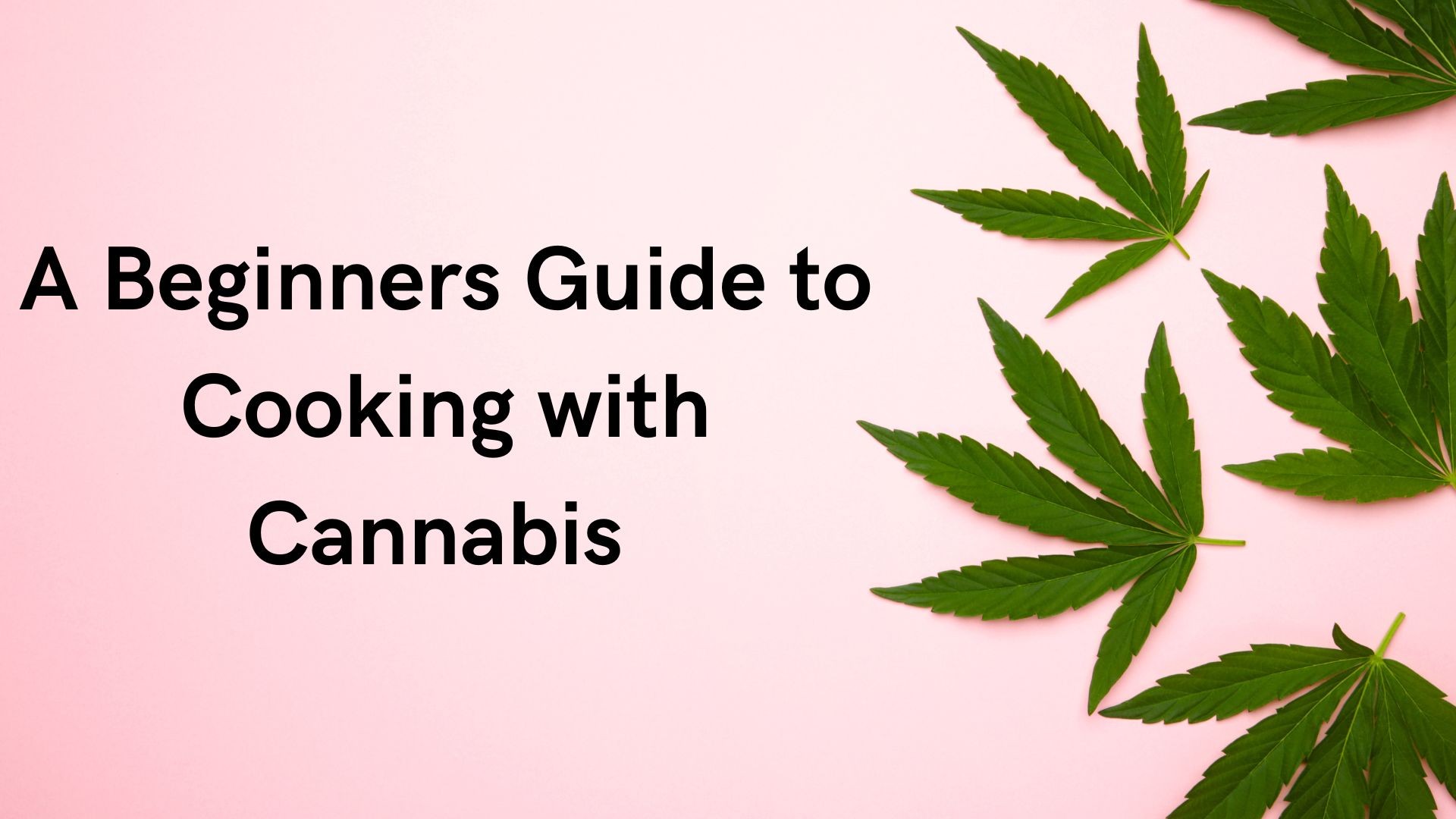 A Beginners Guide to Cooking with Cannabis