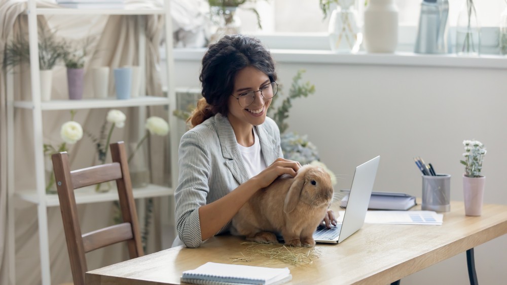 woman petting rabbit while on the computer
