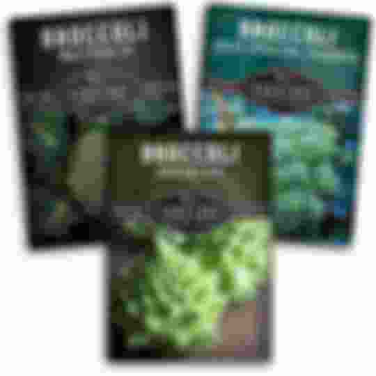 3 packets of heirloom broccoli seeds