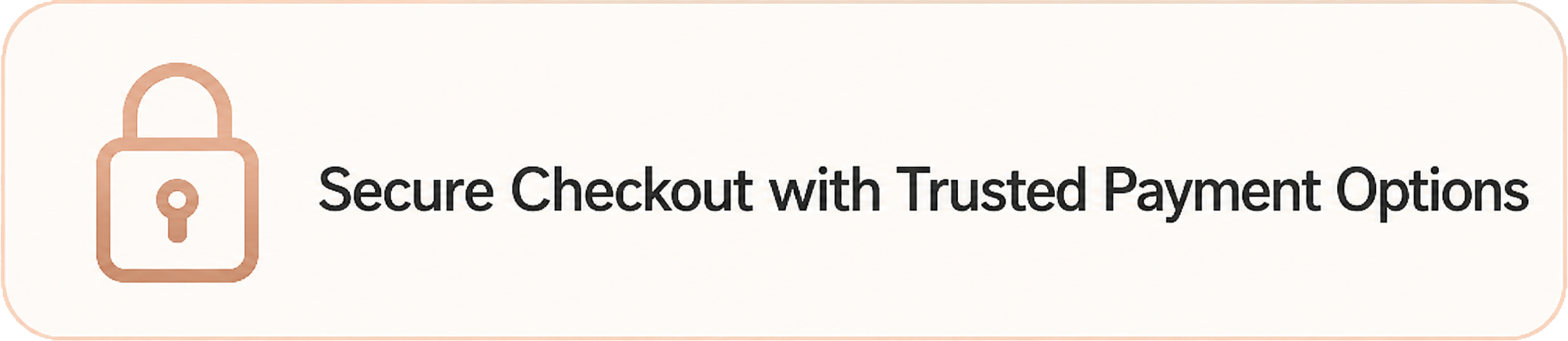 Secure Checkout with Trusted Payment Options
