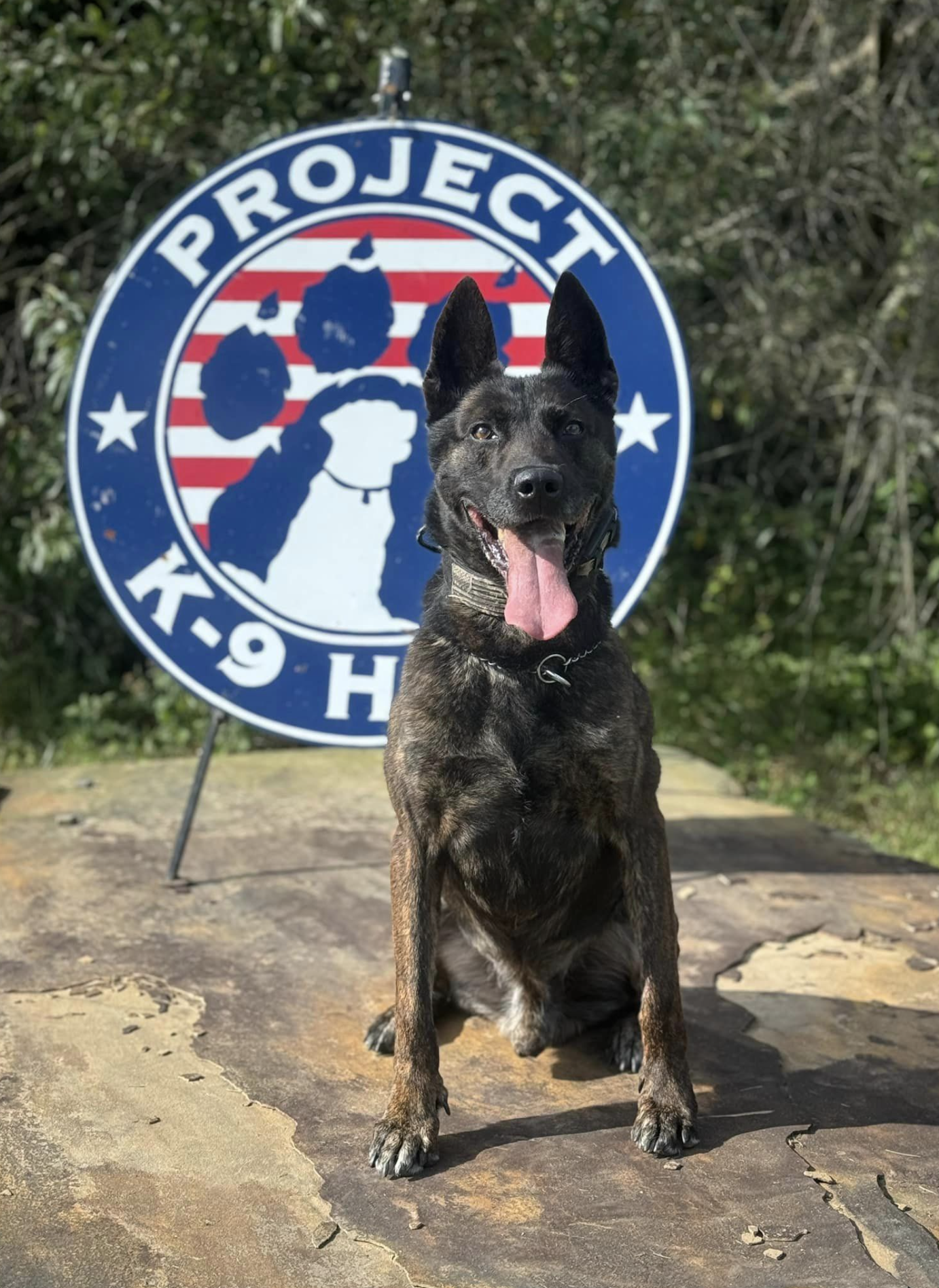 K9 Rikki at PK9H