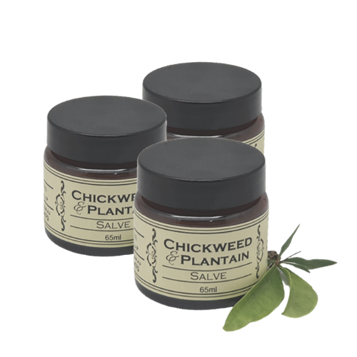 Chickweed & Plantain