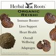 Several reishi mushrooms and a pile of reishi powder with text that says Organic Reishi. Immune booster, liver support, heart health, overall wellbeing and adaptogen.