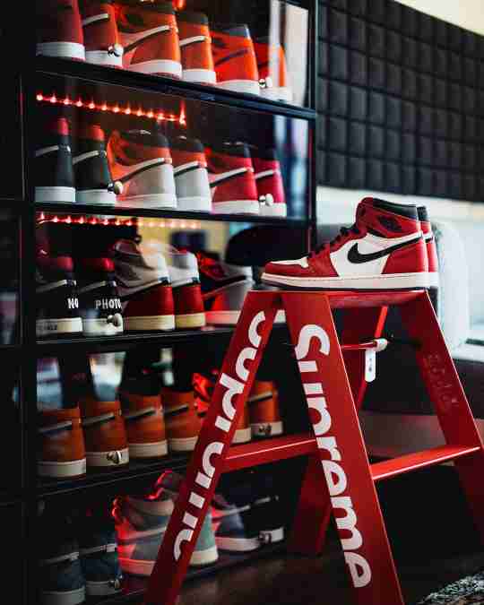 Sneaker Throne Display Case - Photo by Bruce Ha