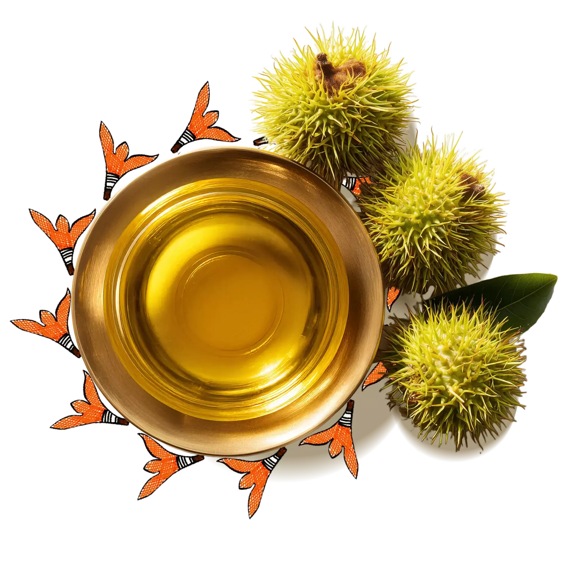 castor oil