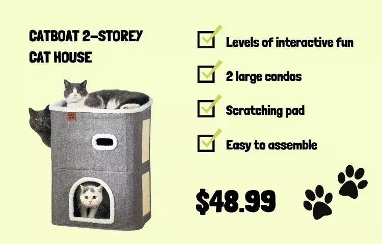 catboat 2-storey cat house