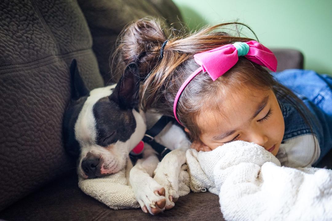 kid sleeping with dog