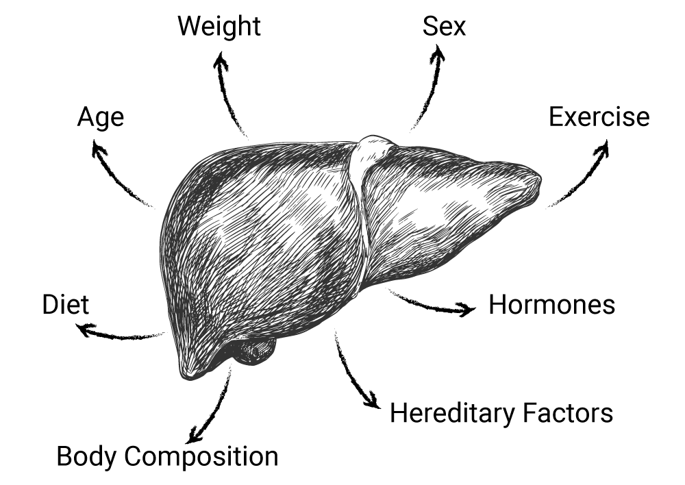 Factors that affect liver health are weight, sex, exercise, hormones, hereditary factors, body composition, diet and age.