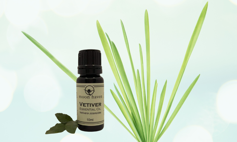 Moon Haven Vetiver Essential oil on a background of vetiver