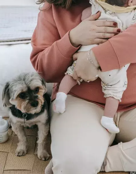dogs and babies