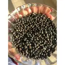 black gram