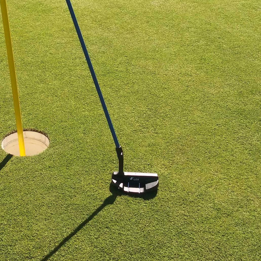 Flex Putter Trainer