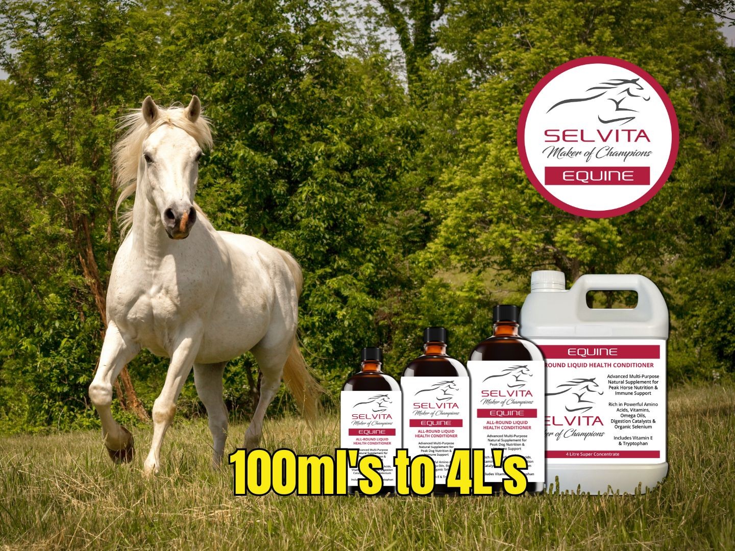 Selvita Equine Product Image 100 ml to 4L