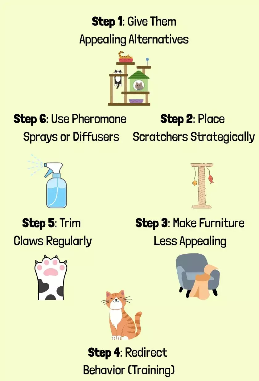 how to stop a cat from scratching furniture
