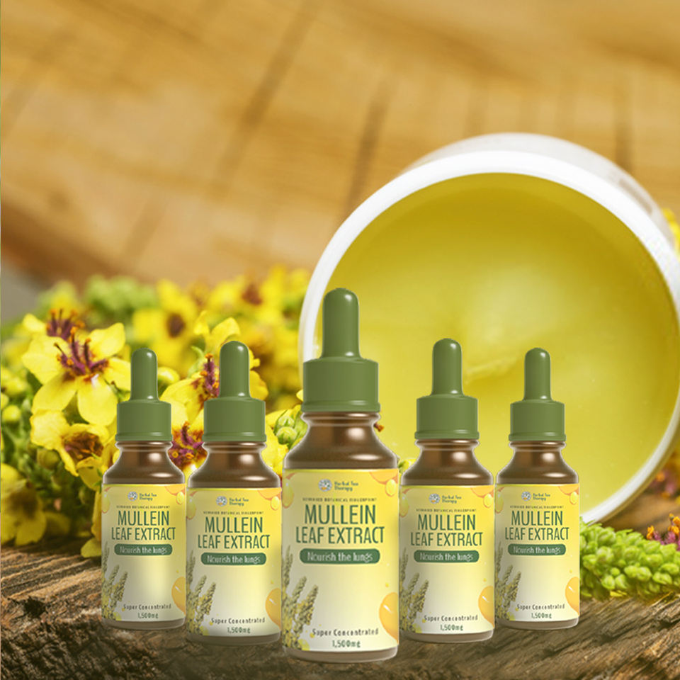Mullein Extract Reviews