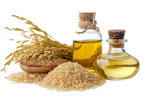 Rice Bran Oil