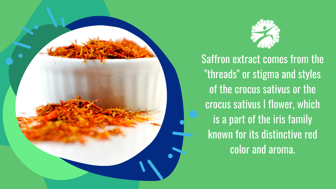 Health Benefits of Saffron Extract 1 Body