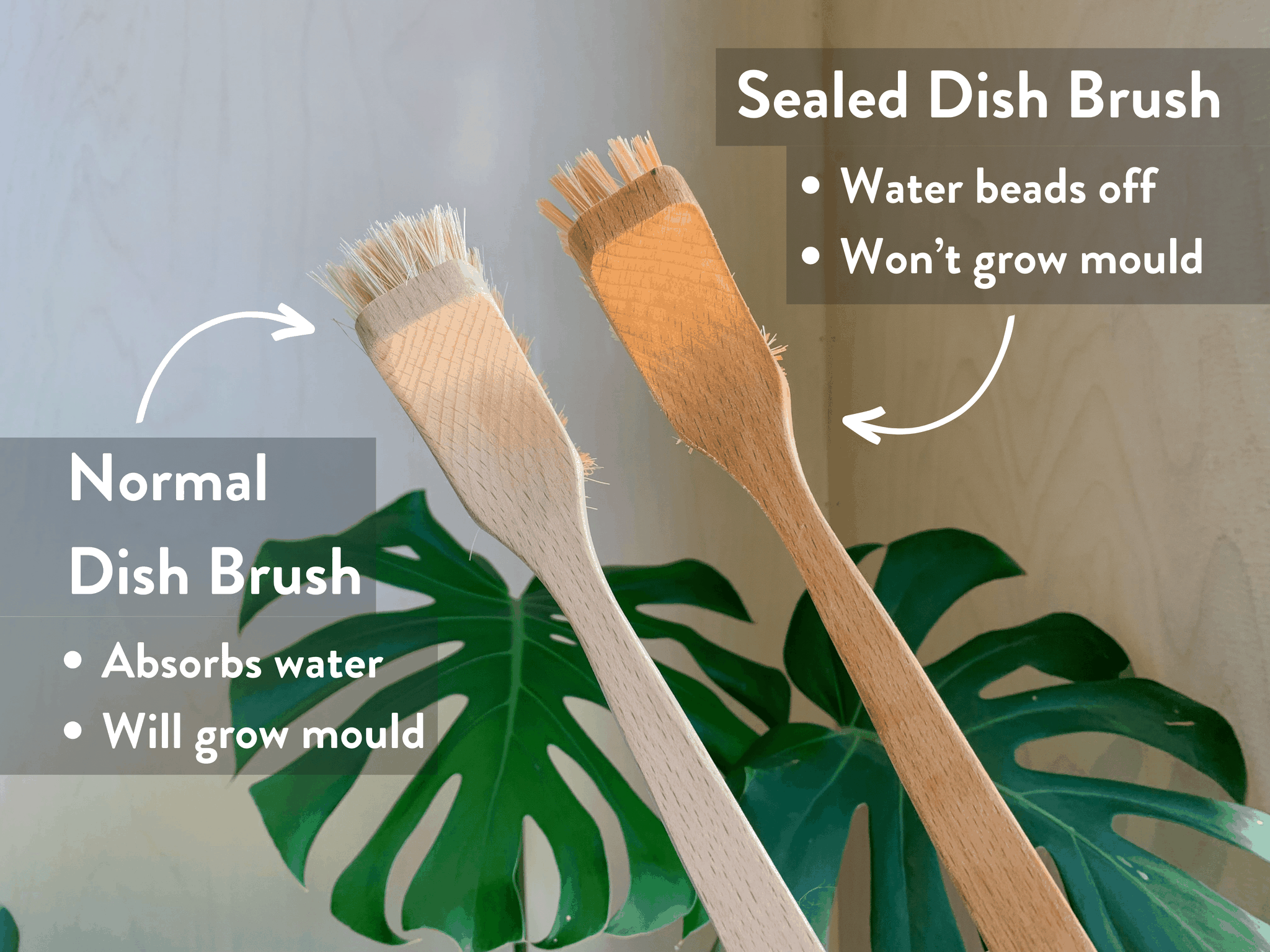 Your Guide to a Clean MouldFree Wooden Dish Brush Good Change Store