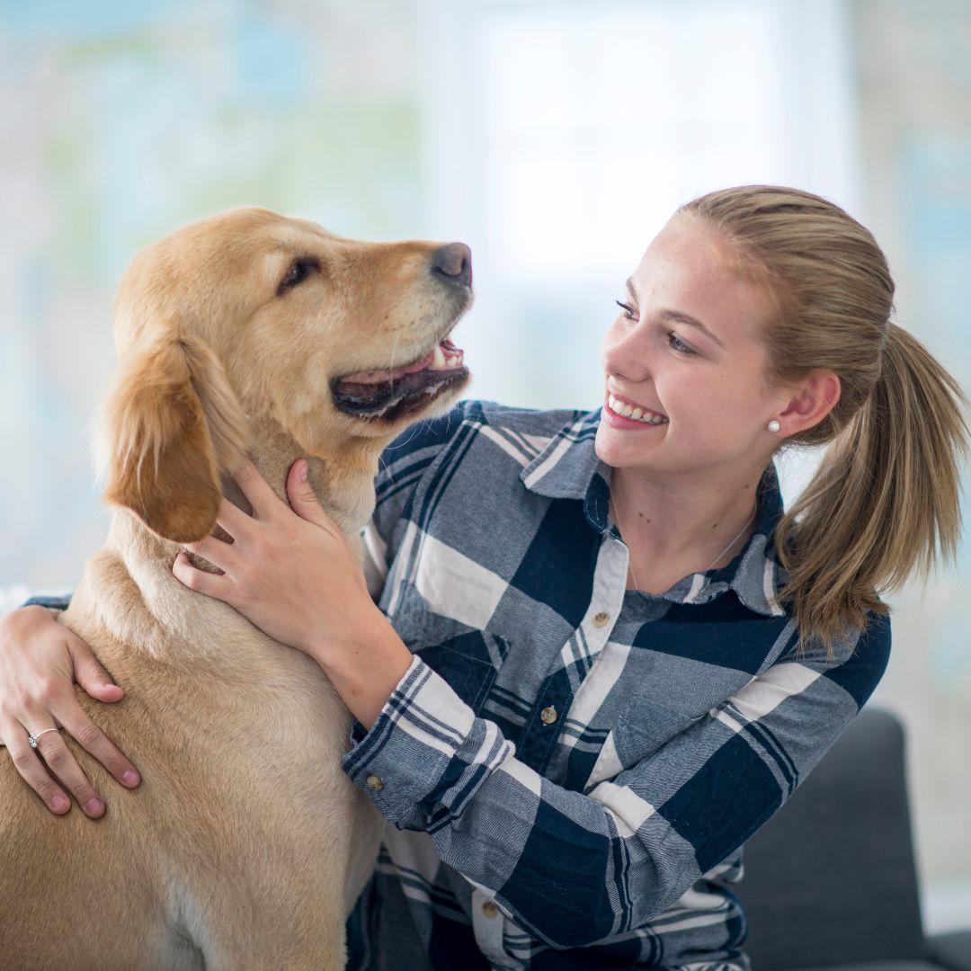 Loving Behaviour of dog Parent