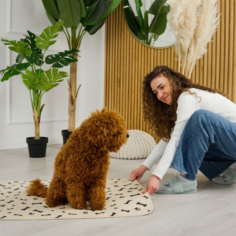 Woman smiling at dog who sits on a dog potty pad
