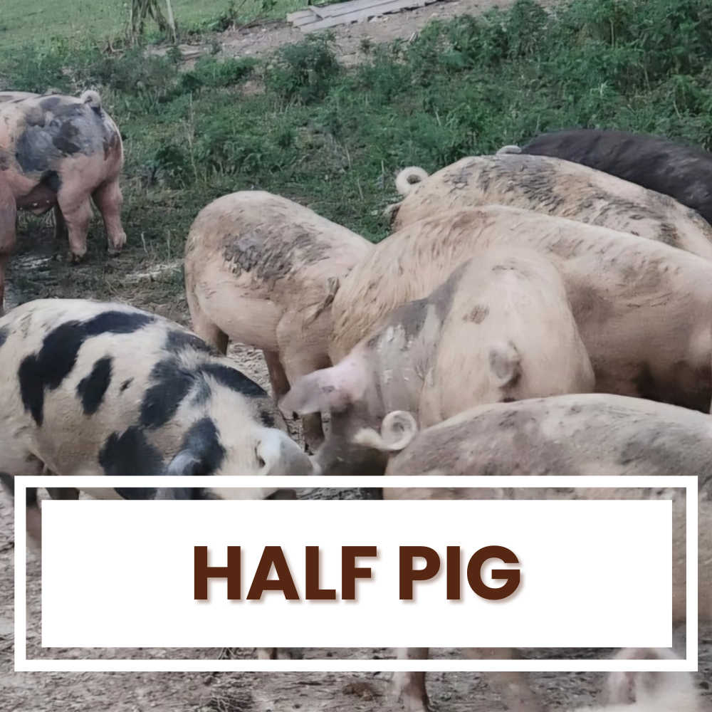 Half Pig