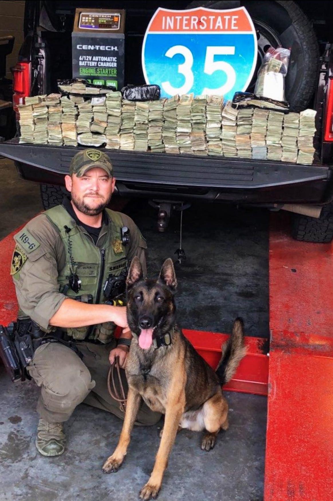 k9 kato