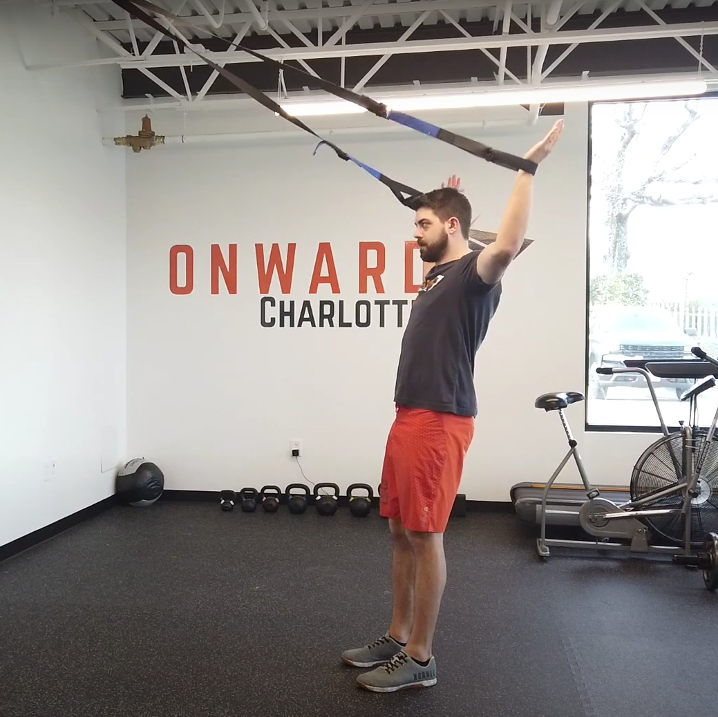 EDGE Suspension Trainer– EDGE Mobility System