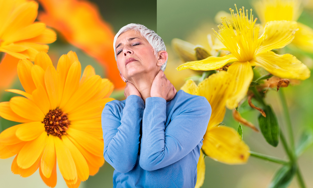 Moonhaven soaps stacked up