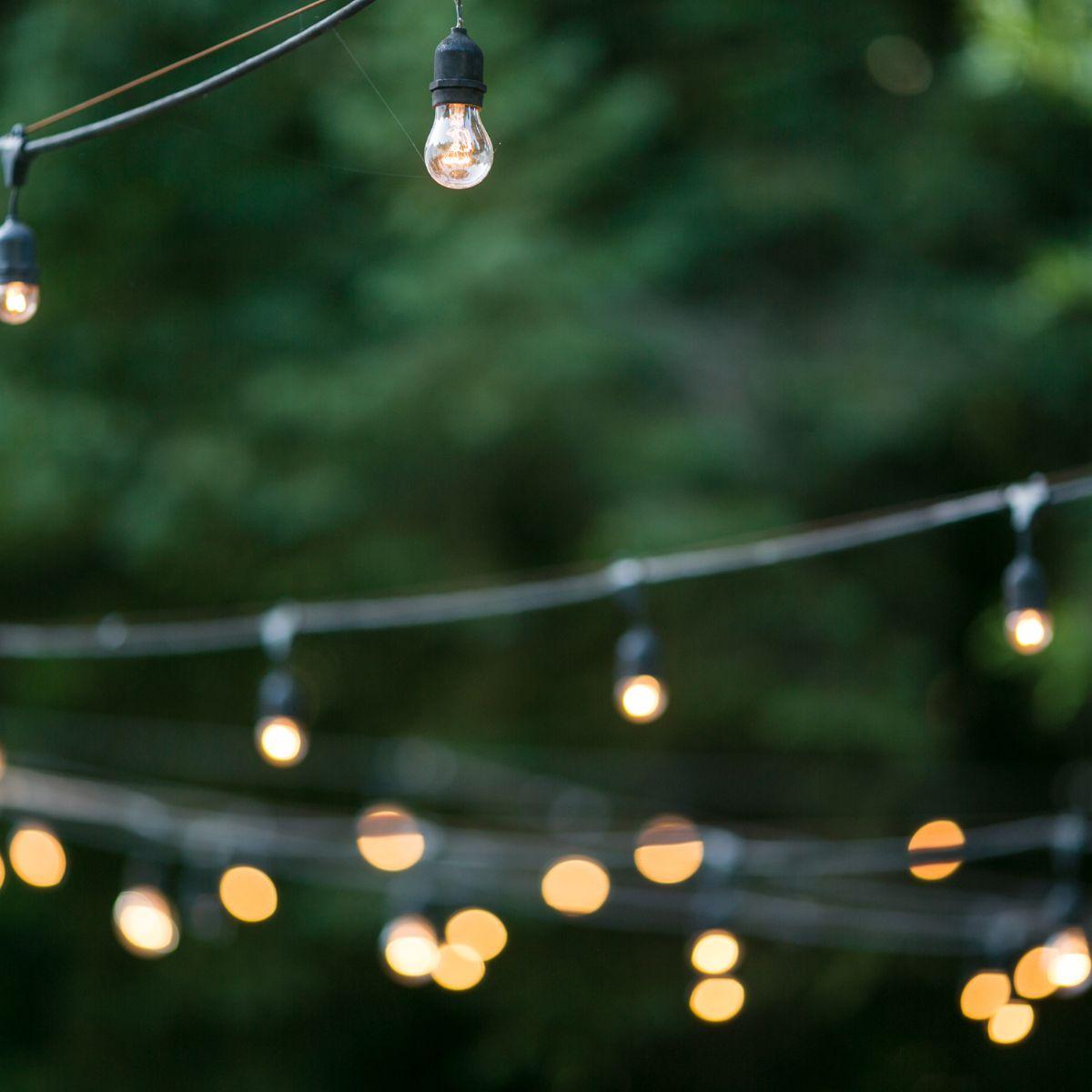 Garden Party Lights