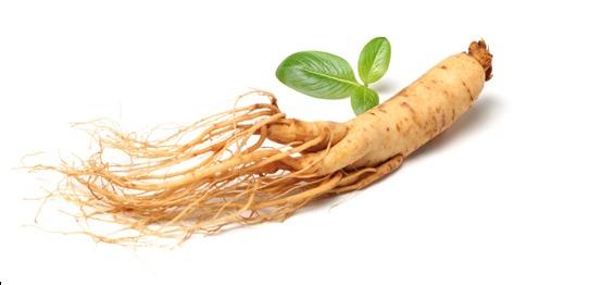 Organic Apple Cider Vinegar