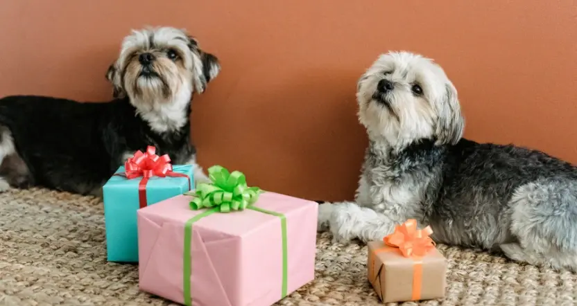A collection of festive dog gifts for Christmas, including toys, treats, and accessories wrapped in holiday-themed packaging.