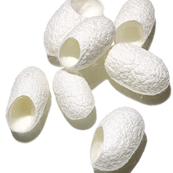 Photo shows silk amino acid proteins