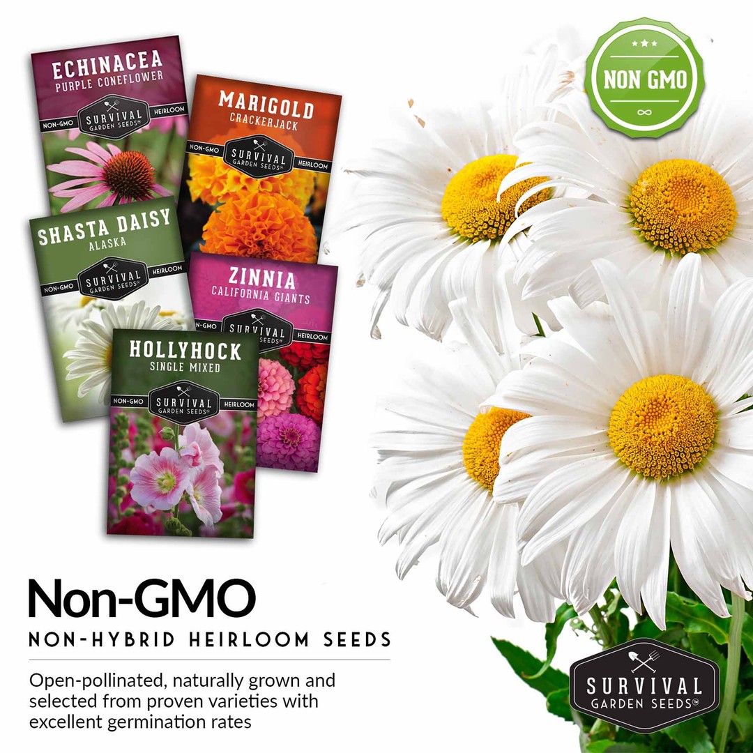 Non-GMO non-hybrid heirloom flower seeds