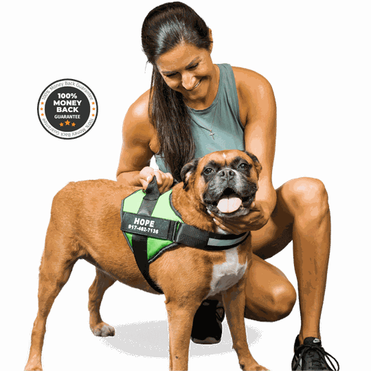 The Original GripHarness™