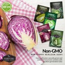 Non-GMO non-hybrid heirloom cabbage seeds