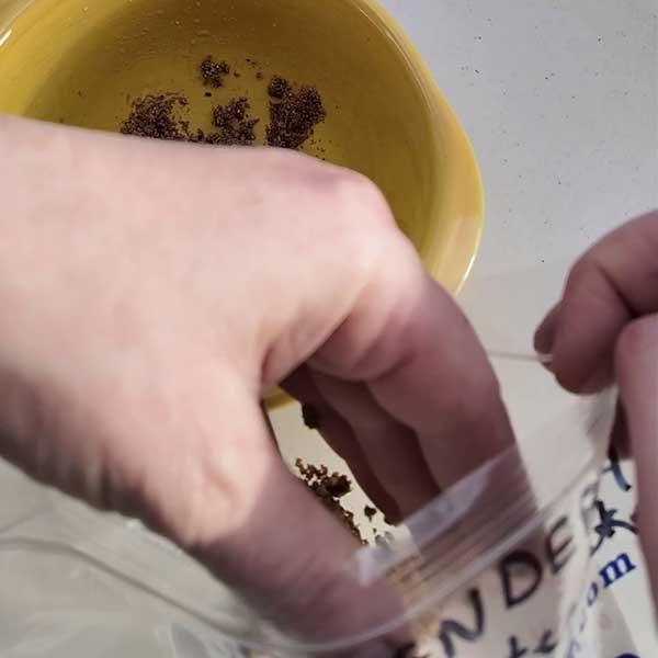 Put moist sand and seeds in container