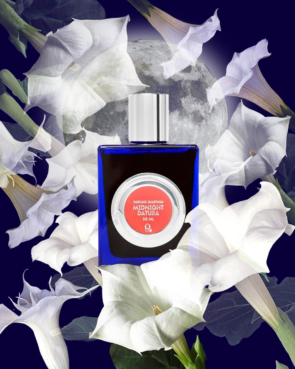 Midnight Datura by QUARTANA