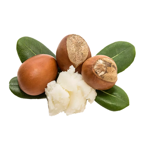 Shea Butter