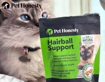 Pet Honesty Logo