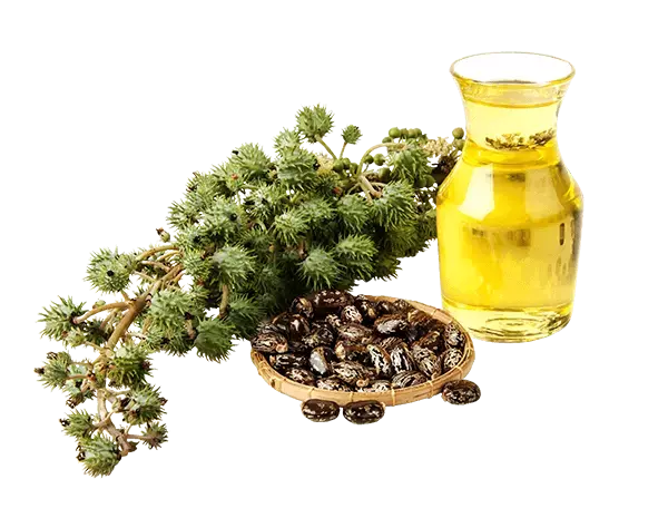 Castor & Sesame Oil