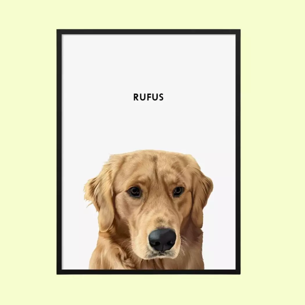 Crown & Paw Custom Pet Portraits