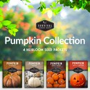 Pumpkin collection - heirloom pumpkin seeds for your vegetable garden