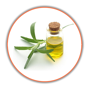 rosemary oil