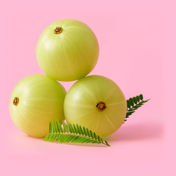 Amla Berries