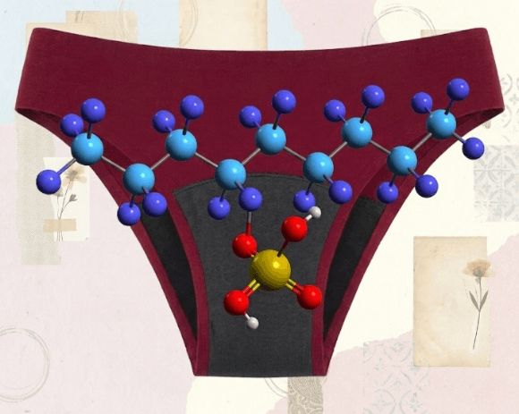 culottes menstruelles PFAS perturbateurs endocriniens