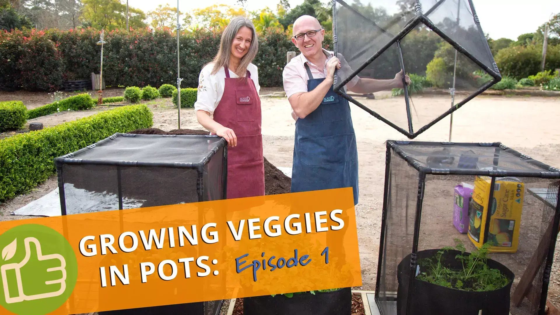 Episode 1 of Growing Veggies in Pots with Brian and Kaylene standing beside veggie pots with Pestfree covers.