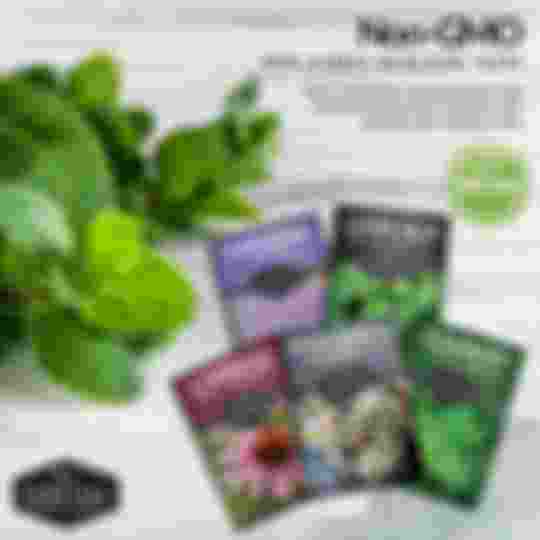 Non-GMO Heirloom Herbal Tea Seeds