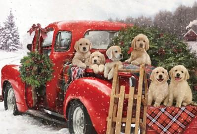 golden retriever puppies in a red truck with a Christmas tree in the back