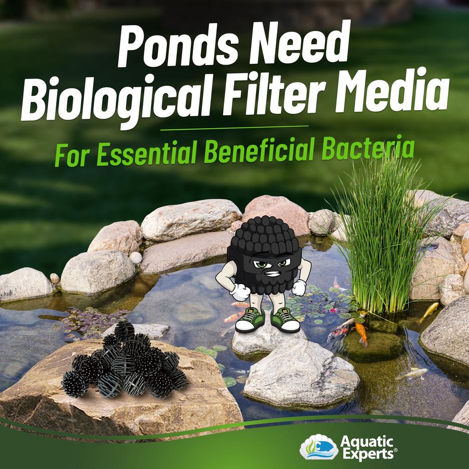 thumbnail image 2 of 500 Count Jumbo 1.5 Inch Bio Balls - Pond Filter Media For Koi Ponds, Water Filtration 2 of 4